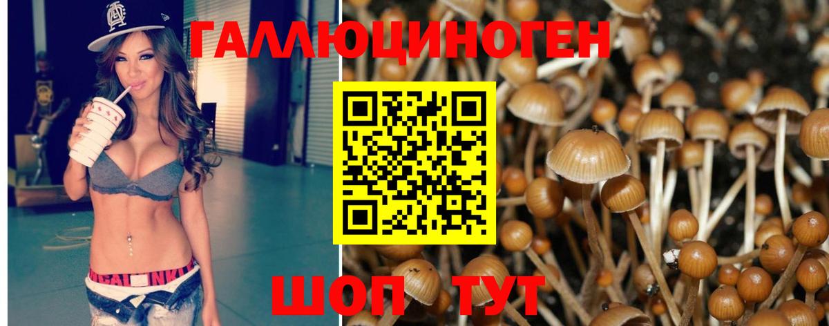 Зеленодольск  Псилоцибиновые грибы GOLDEN TEACHER  Вход с VPN 